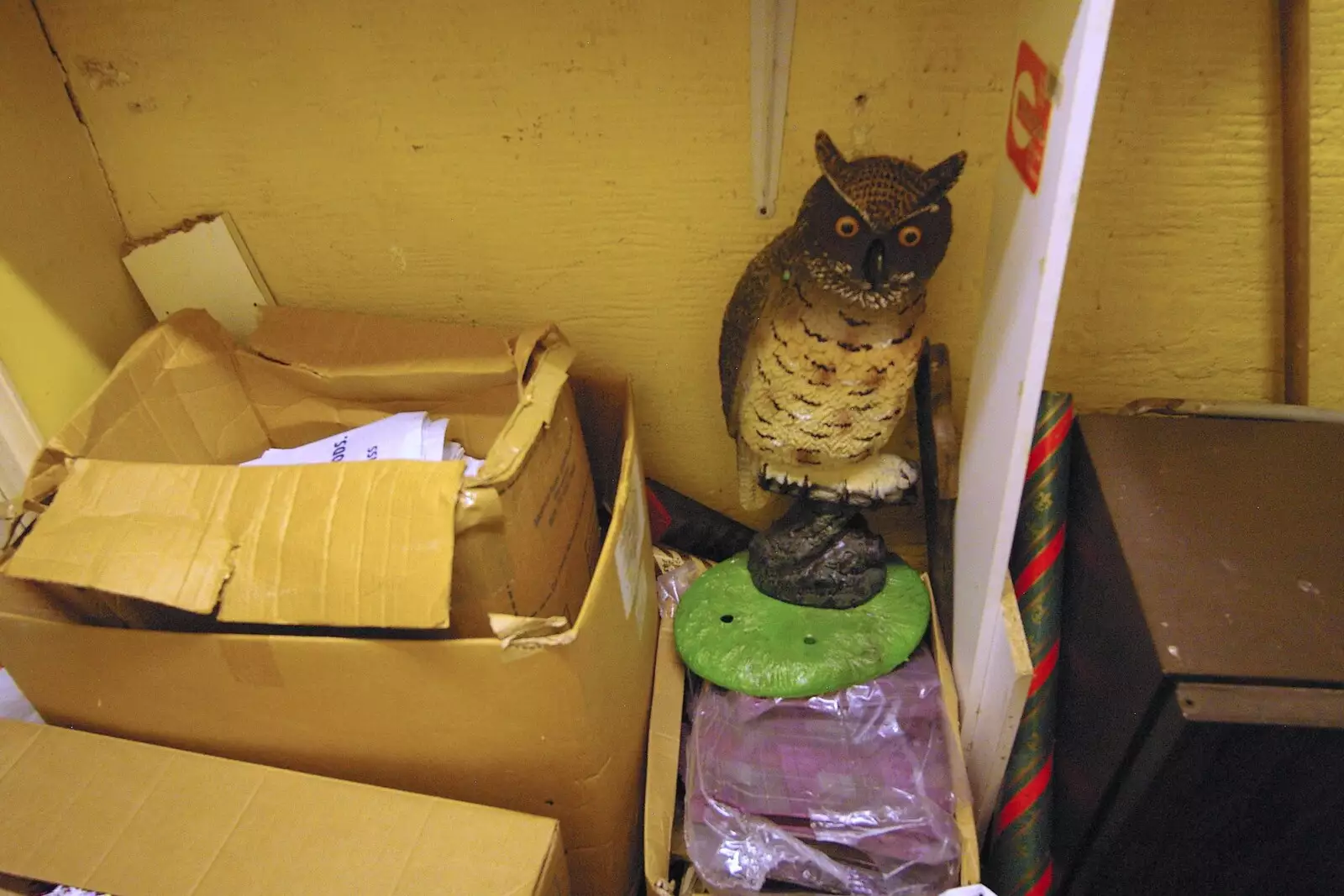 A strange ex-window-display owl keeps watch, from A Portrait of Hopgoods: Gentlemen's Outfitters, Diss, Norfolk - 4th January 2006