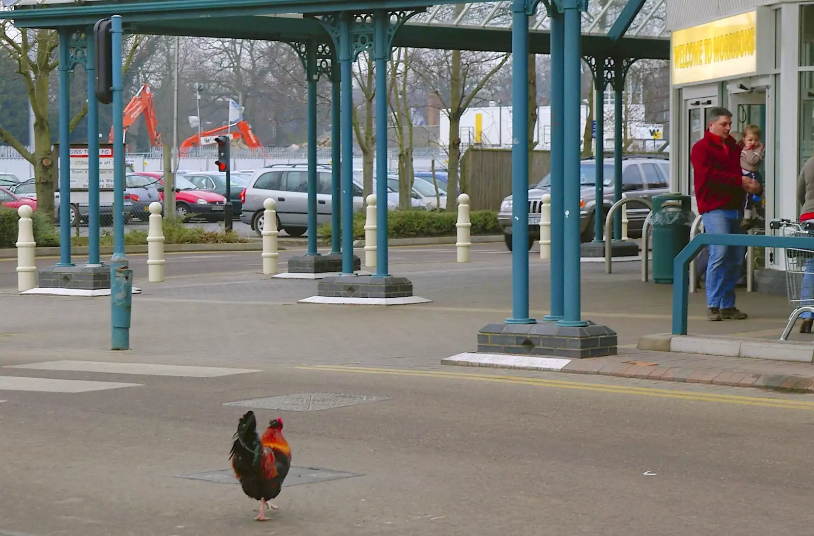 Why did the chicken cross the road?, from Dom in da Chapel, Safeway Chickens and Evil Supermarkets, Harleston and Grimston - 15th January 2006