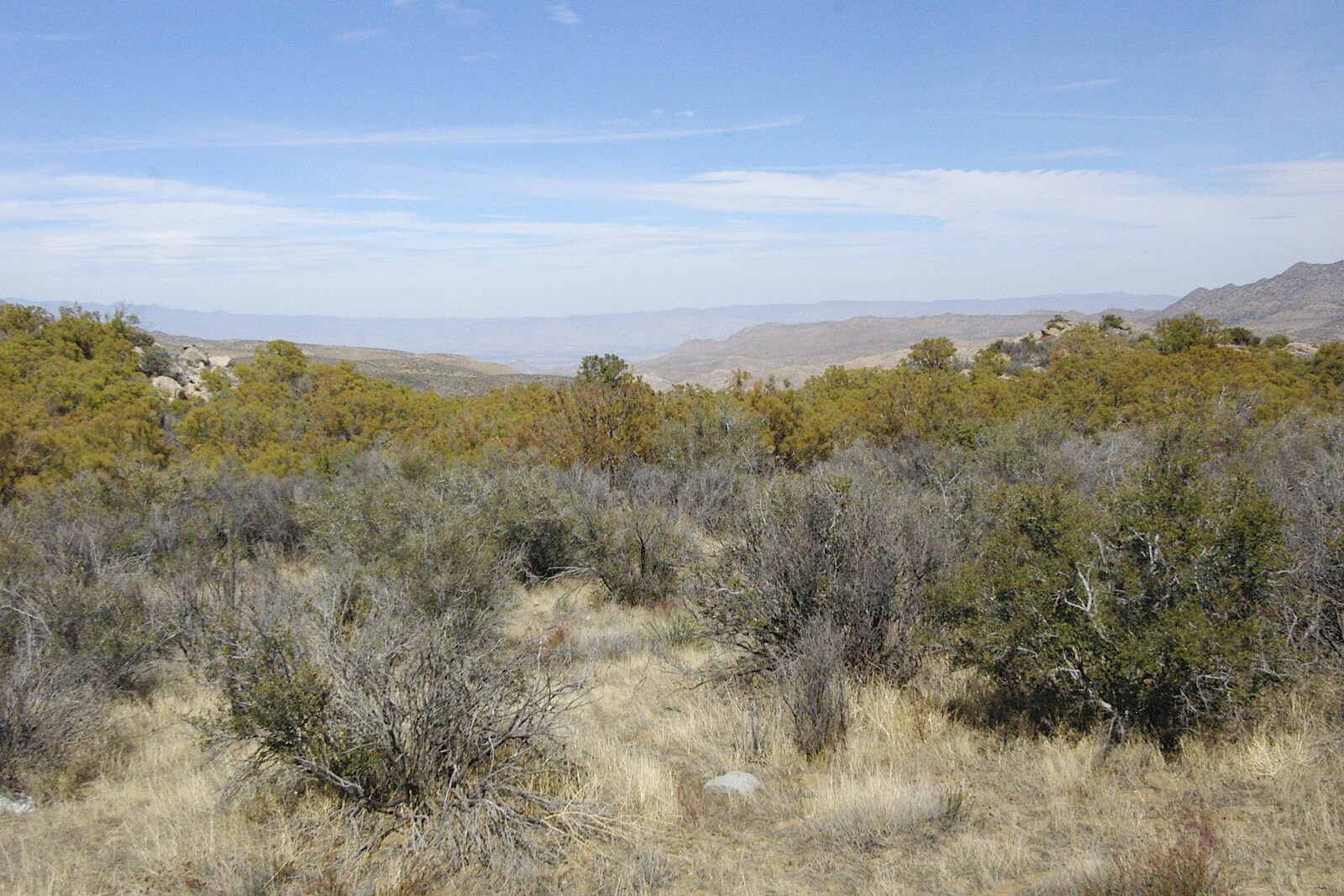 A view of desert scrub from Mojave Desert: San Diego to Joshua Tree and Twentynine Palms, California, US - 5th March 2006