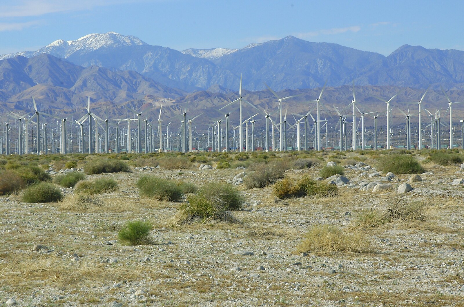 A thousand wind turbines from Mojave Desert: San Diego to Joshua Tree and Twentynine Palms, California, US - 5th March 2006