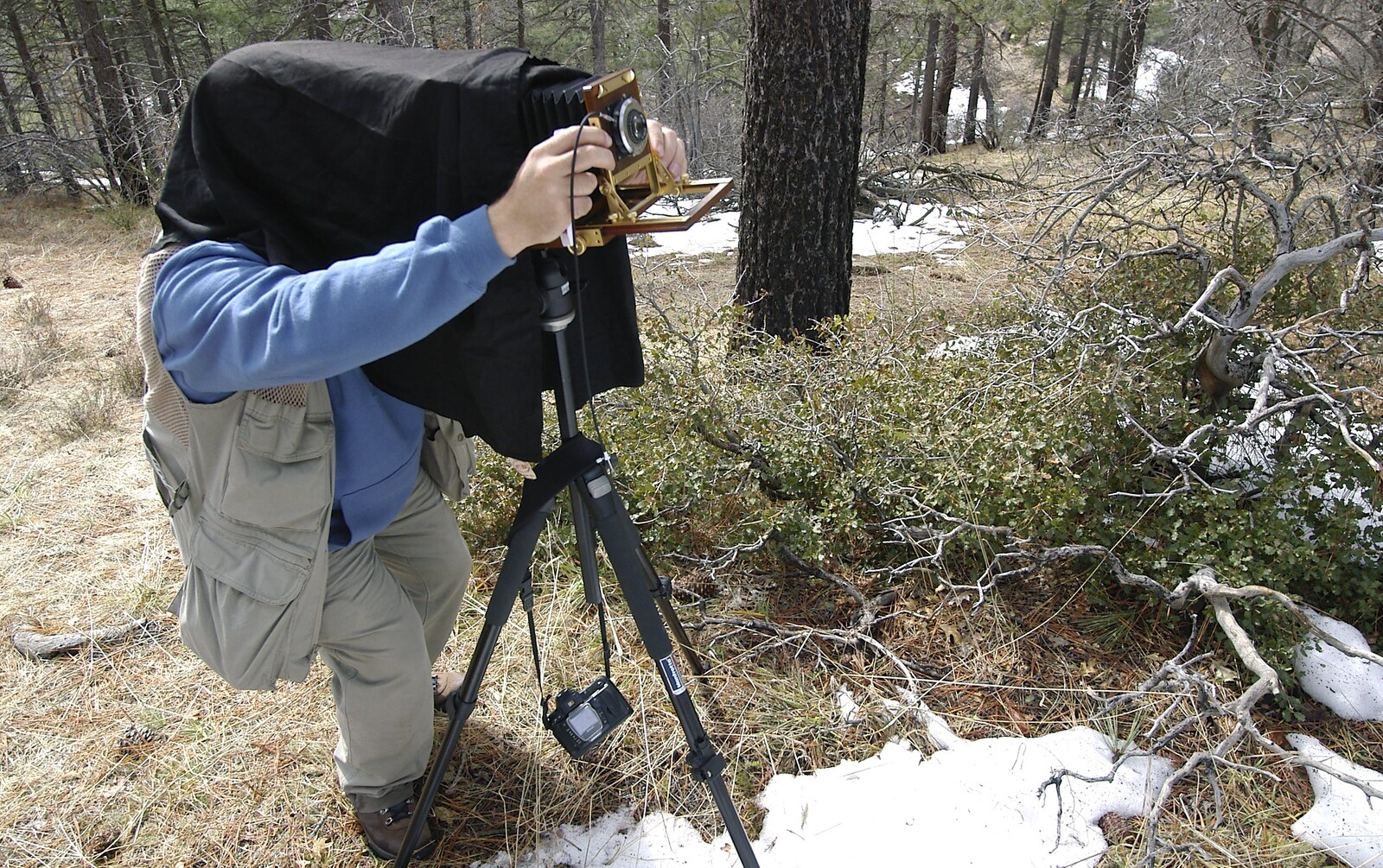 Ken checks composition under the cover of a field camera from California Snow: San Bernadino State Forest, California, US - 26th March 2006