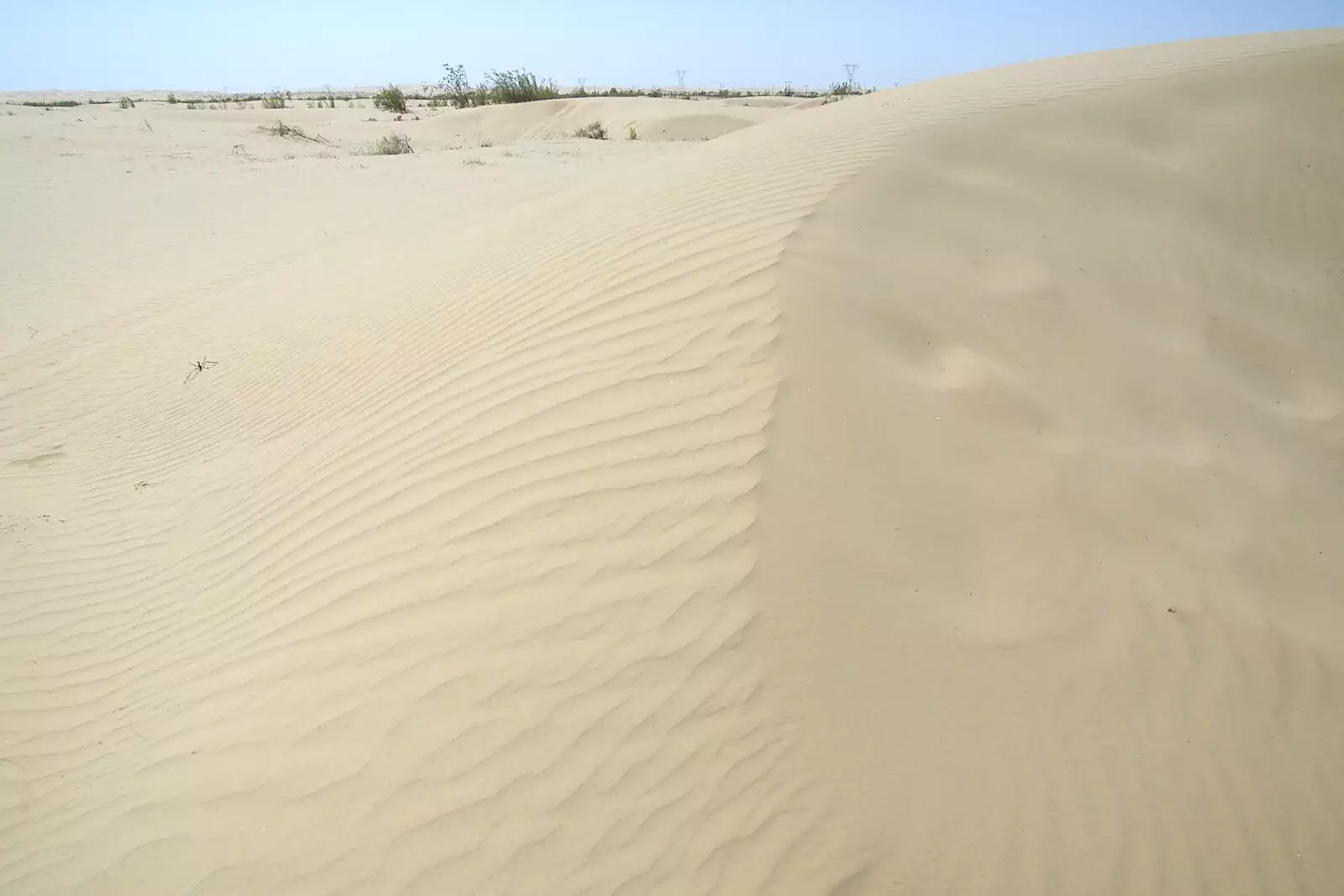 Sahara-style sand dune, from San Diego Seven: The Desert and the Dunes, Arizona and California, US - 22nd April