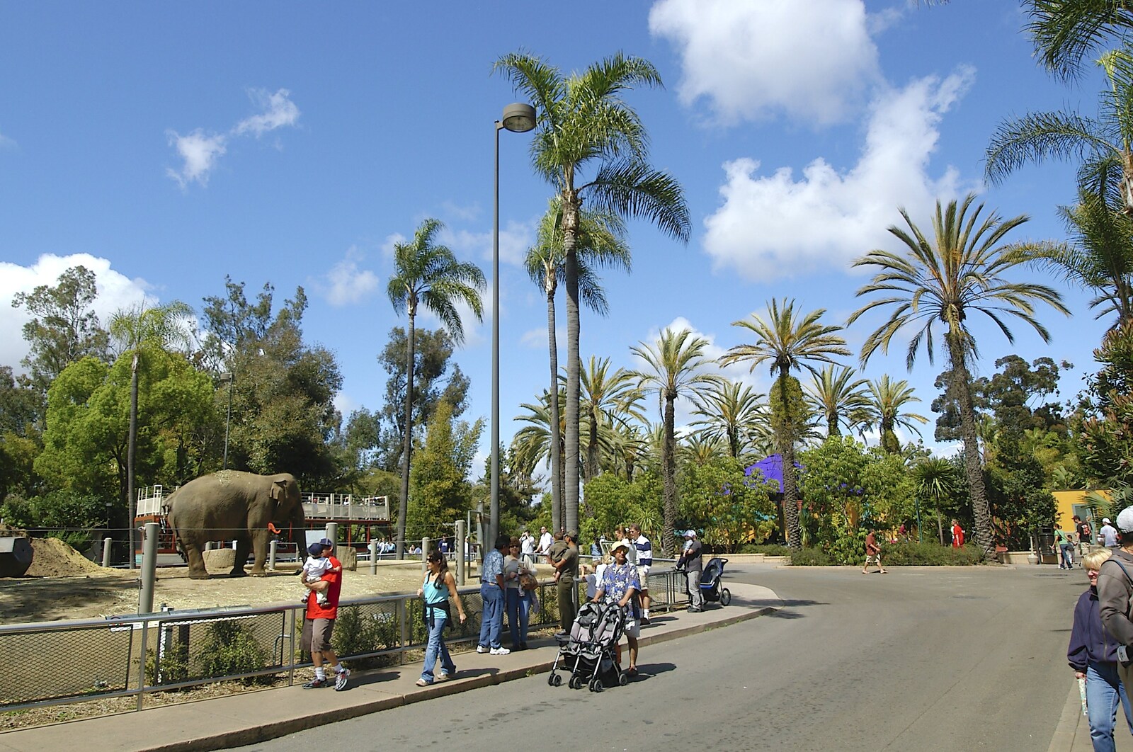 San Diego zoo from San Diego Seven: The Desert and the Dunes, Arizona and California, US - 22nd April