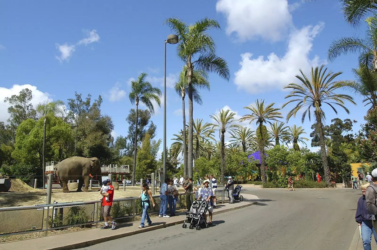 San Diego zoo, from San Diego Seven: The Desert and the Dunes, Arizona and California, US - 22nd April