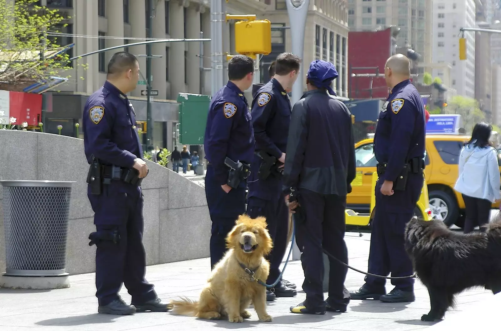 New York Police Department officers and their dogs, from A Union Square Demo, Bryant Park and Columbus Circle, New York, US - 2nd May 2006