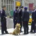 New York Police Department officers and their dogs, A Union Square Demo, Bryant Park and Columbus Circle, New York, US - 2nd May 2006