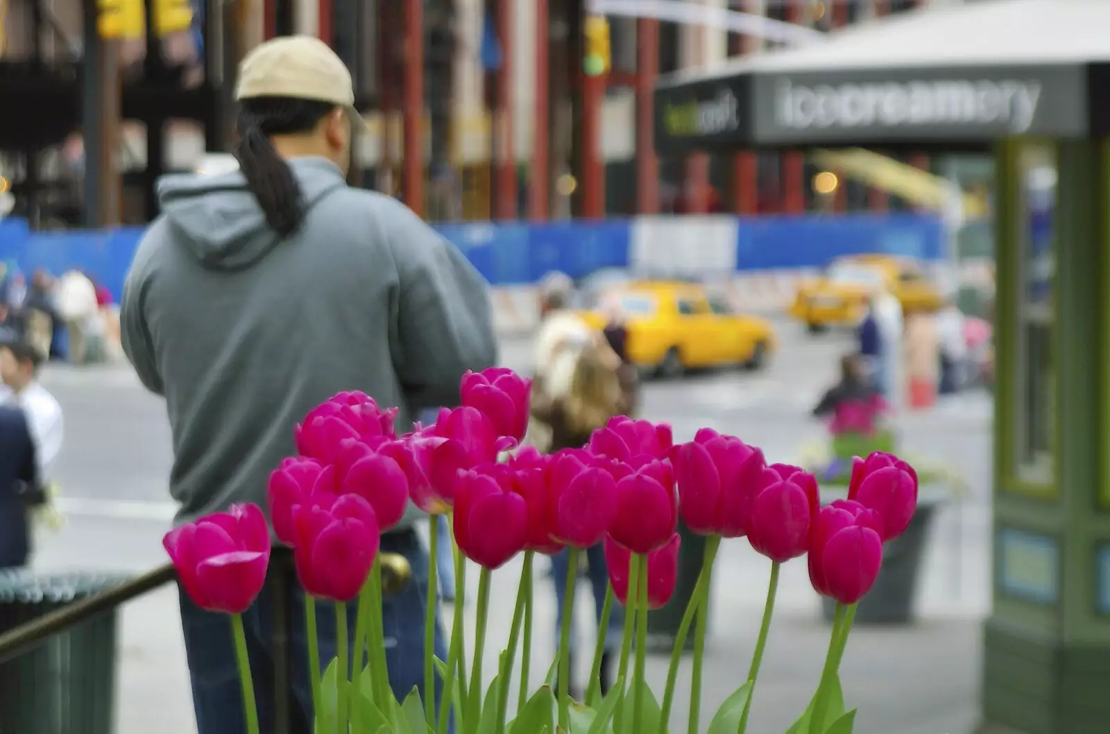 Bright pink tulips, from A Union Square Demo, Bryant Park and Columbus Circle, New York, US - 2nd May 2006