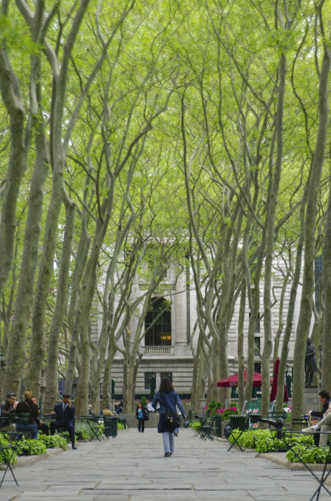 A tree-lined avenue, all leaning south from A Union Square Demo, Bryant Park and Columbus Circle, New York, US - 2nd May 2006