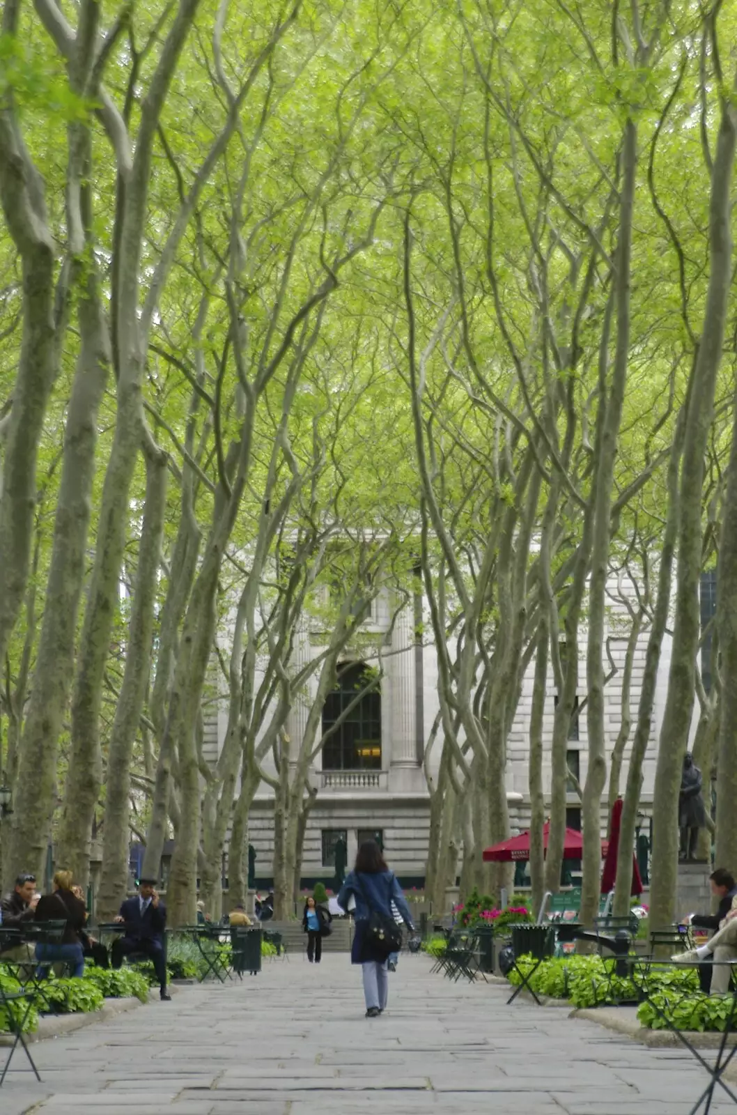 A tree-lined avenue, all leaning south, from A Union Square Demo, Bryant Park and Columbus Circle, New York, US - 2nd May 2006