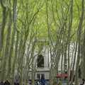 A tree-lined avenue, all leaning south, A Union Square Demo, Bryant Park and Columbus Circle, New York, US - 2nd May 2006