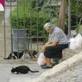 A woman watches the stray cats, Working at Telefónica, Malaga, Spain - 6th June 2006