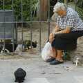 An woman feeds feral cats scraps of mystery meat, Working at Telefónica, Malaga, Spain - 6th June 2006