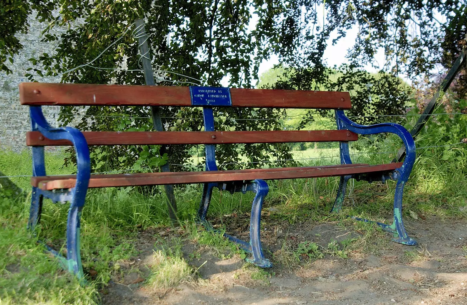 Park bench under the spreading chestnut tree, from A Picnic by the Castle on a Hill, Framlingham, Suffolk - 17th June 2006