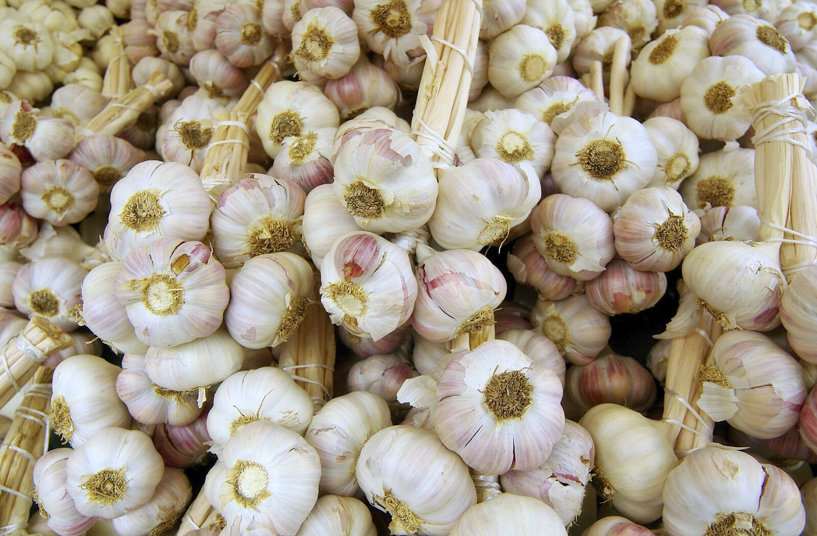Cloves of garlic from A French Market Visits, Diss, Norfolk - 24th June 2006