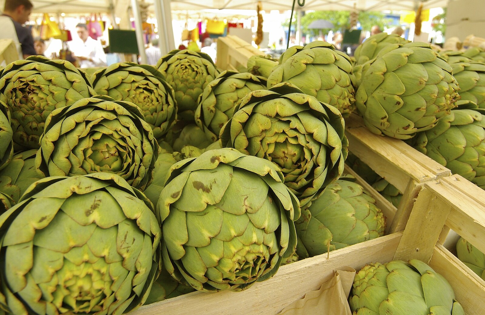 Globe artichokes from A French Market Visits, Diss, Norfolk - 24th June 2006