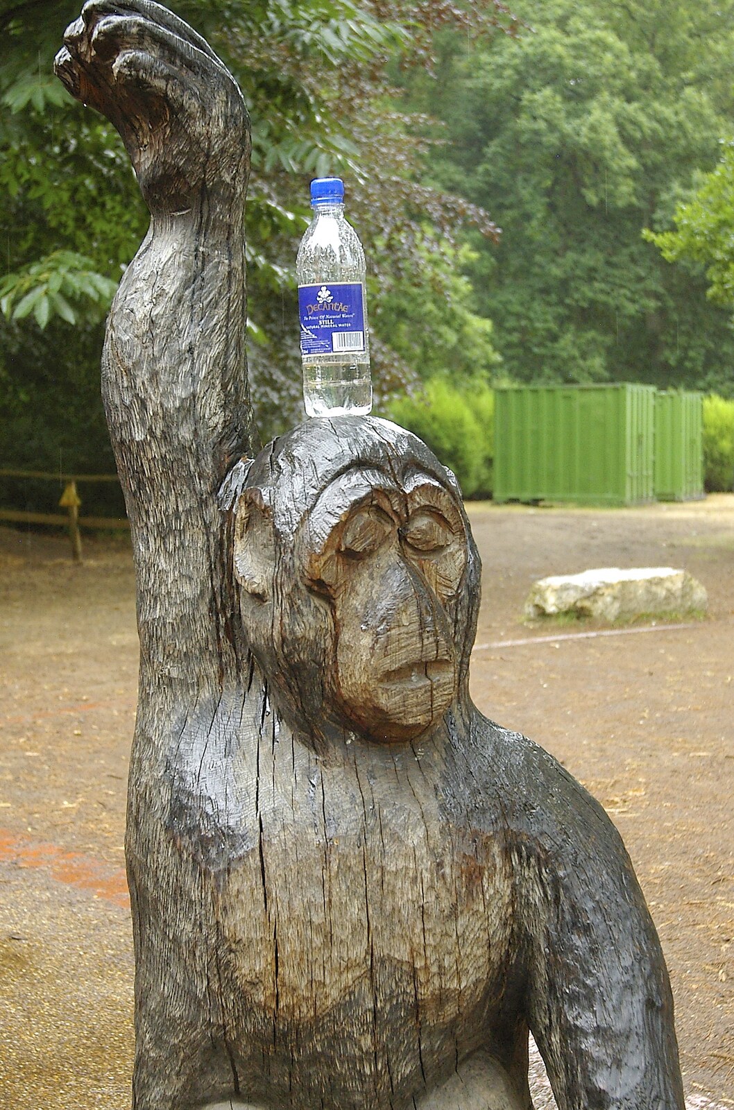 An ape sculpture has a bottle of water on its head from Qualcomm Cambridge "Go Ape", High Lodge, Thetford Forest - 27th July 2006