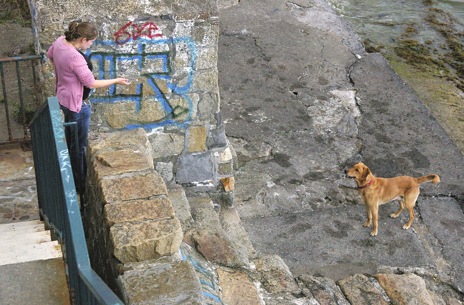 Oscar waits on the sea wall from A Trip to Blackrock and Dublin, County Dublin, Ireland - 12th August 2006
