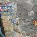 Oscar waits on the sea wall, A Trip to Blackrock and Dublin, County Dublin, Ireland - 12th August 2006