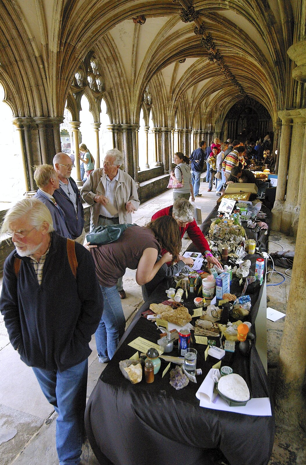 Science displays are on show in the cloisters from Spiders, Norwich Science Festival and Kingston Arms Music - 5th September 2006