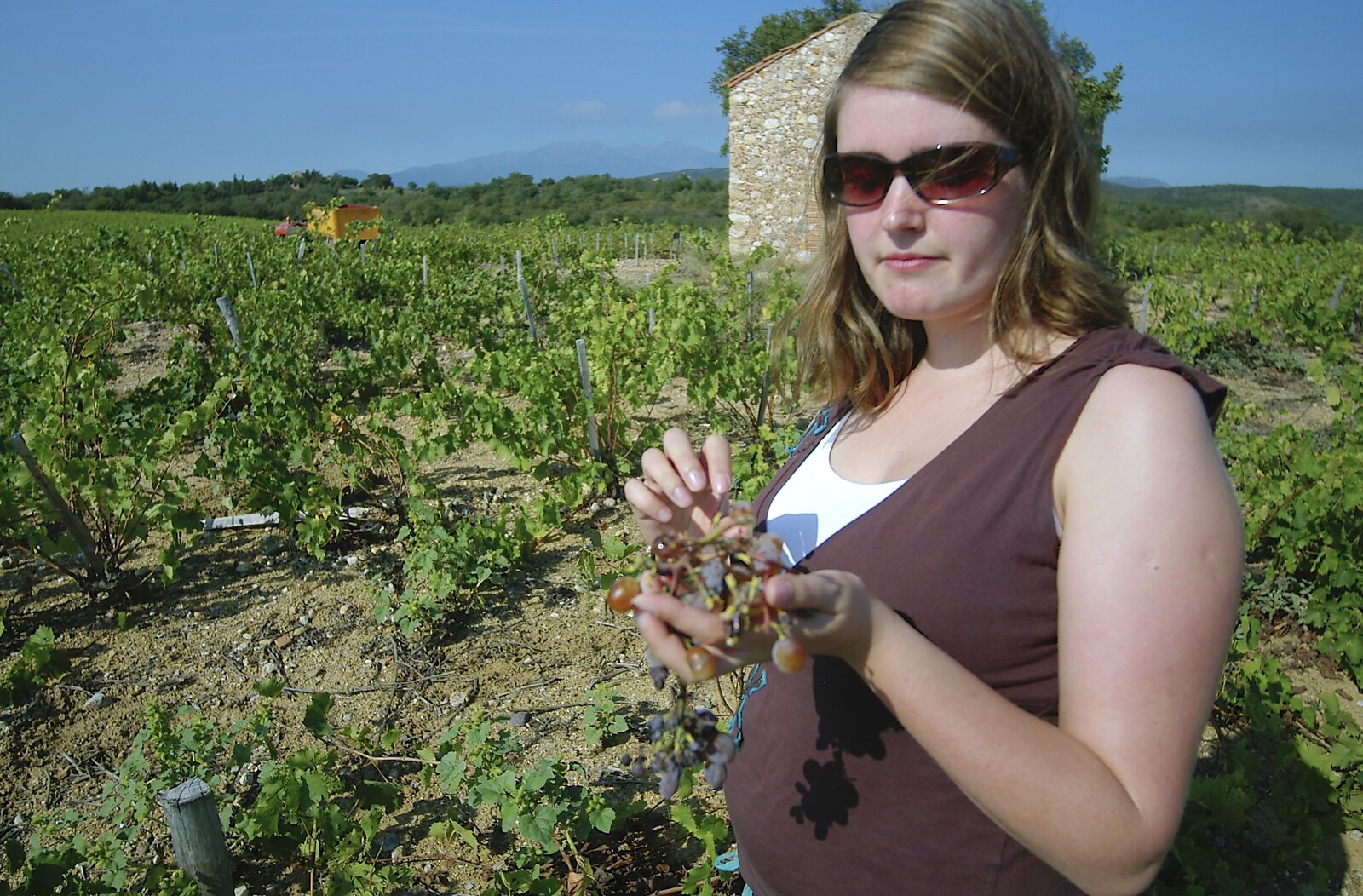 Isobel tries a grape from A Roussillon Farmhouse, Fourques, Perpignan, France - 17th September 2006