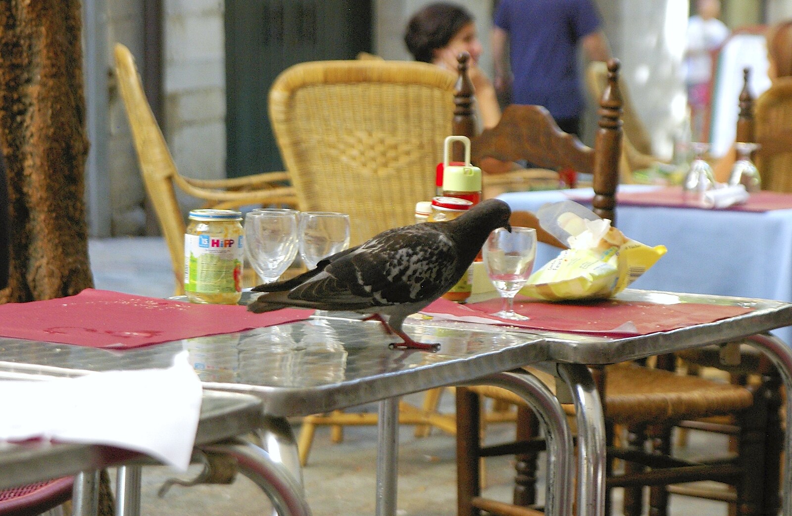 A pigeon does what pigeons do: scrounge for food from Girona, Catalunya, Spain - 17th September 2006