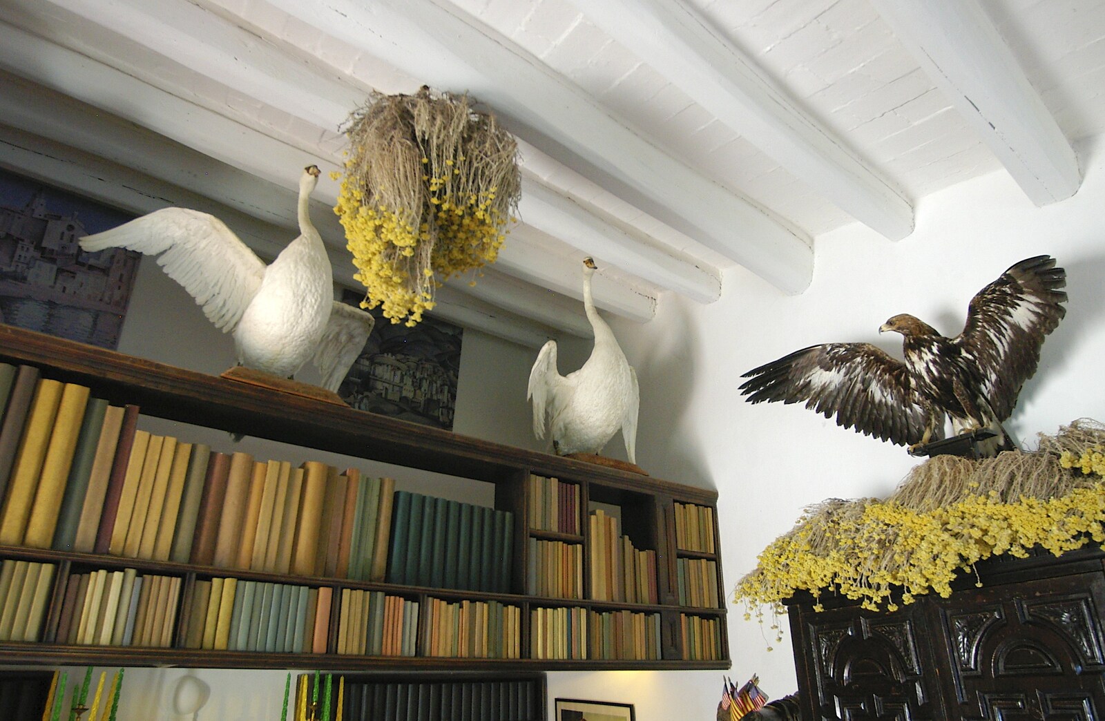 A couple of swans on a bookshelf from Salvador Dalí's House, Port Lligat, Spain - 19th Deptember 2006