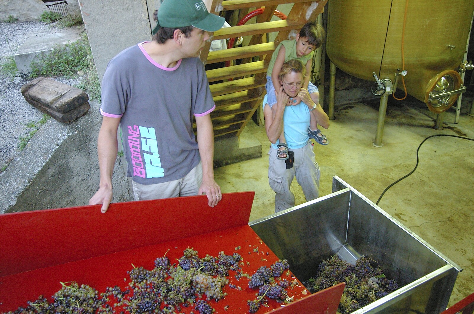 The grapes are unloaded from Grape Picking and Pressing, Roussillon, France - 19th September 2006