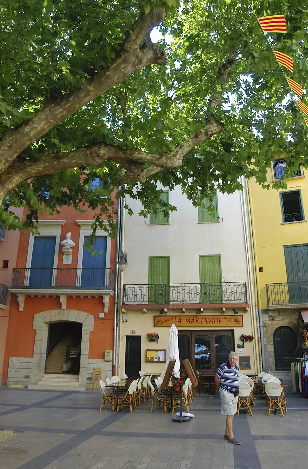 Trees, flags and a roaming tourist, from The Colourful Boats of Collioure, France - 20th September 2006