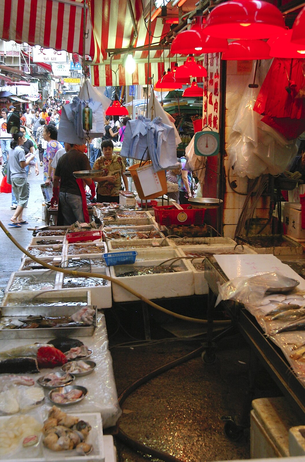 Crates of chilled sea food from Lan Kwai Fong Market, Hong Kong, China - 4th October 2006