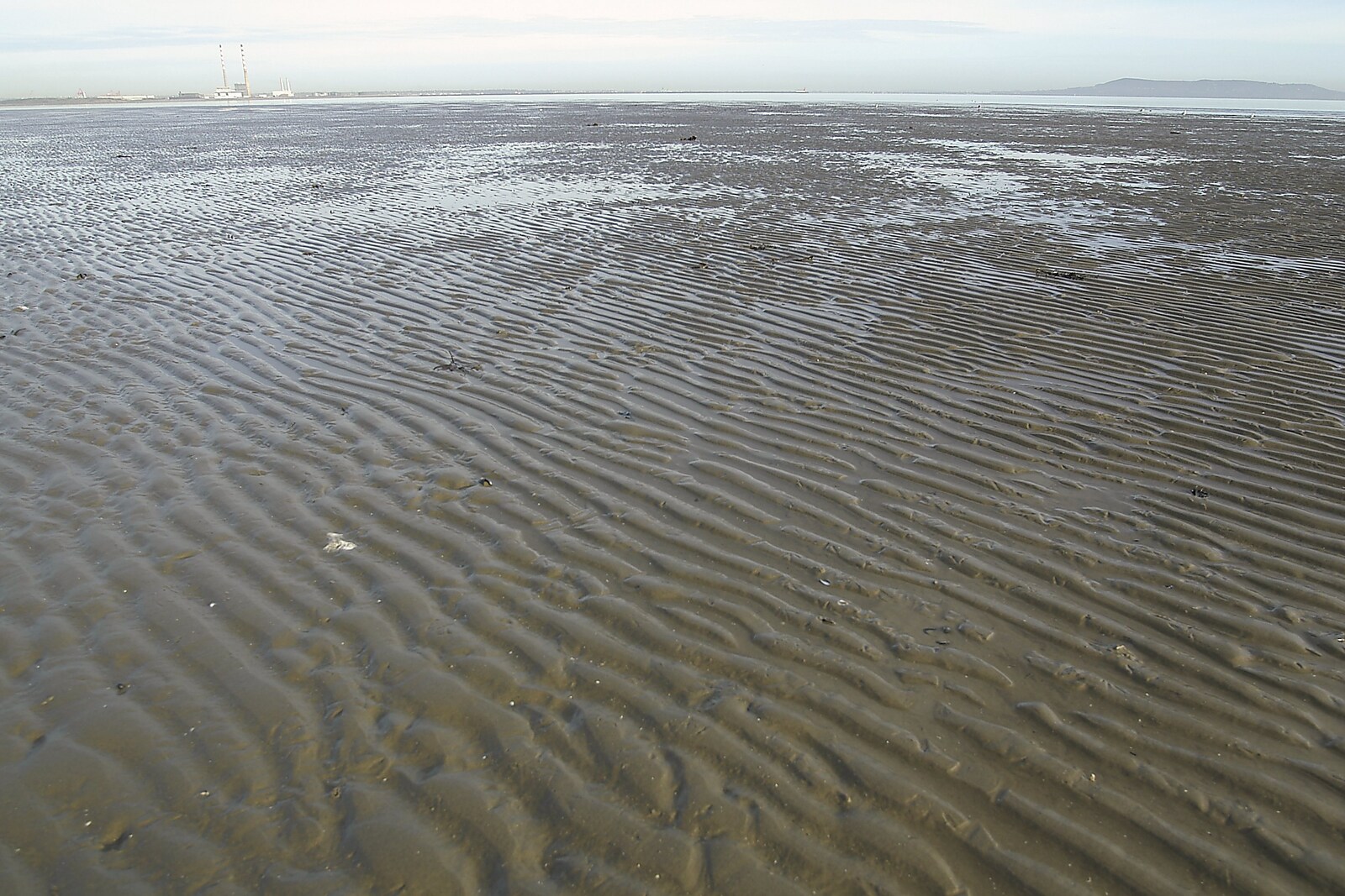 Rippled mud flats, exposed by the retreated tide from Blackrock Mornings, Dublin County, Ireland - 29th October 2006