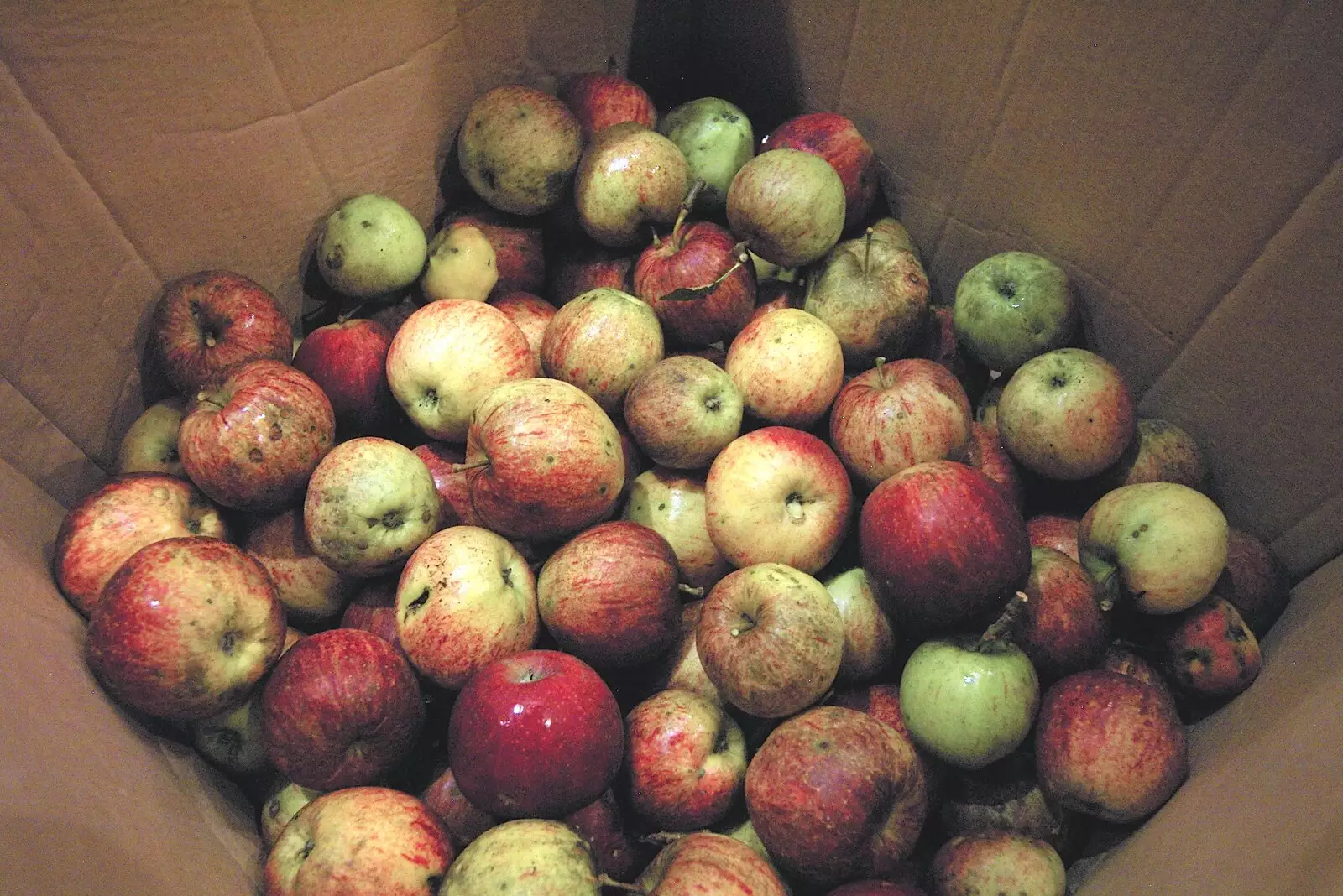 The apples from the orchard are ready for pressing, from Apples, Isobel's Birthday and  Remembrance Day, Cambridge and Diss, Norfolk - 11th November 2006