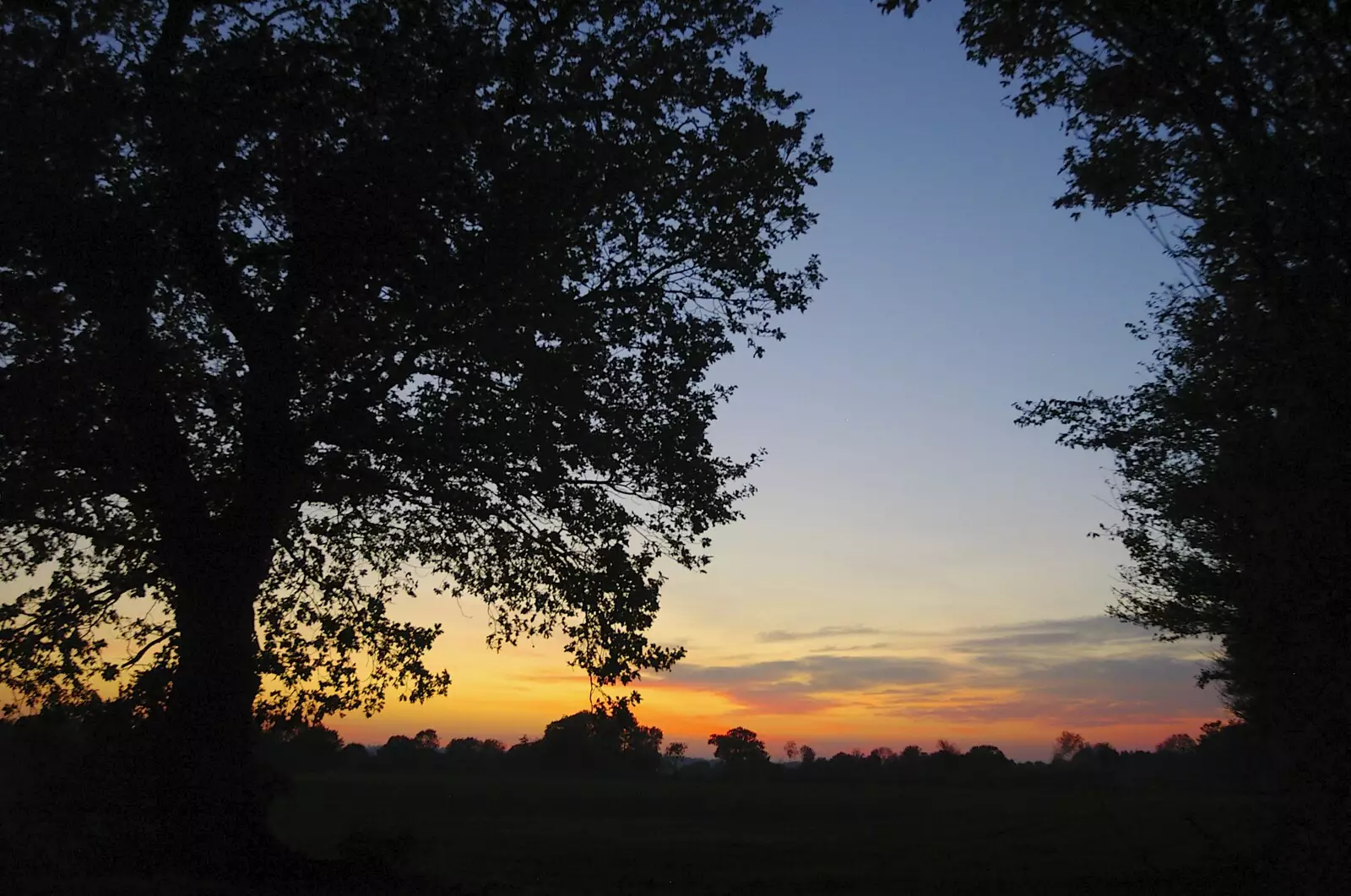 Sunset through some trees, from Apples, Isobel's Birthday and  Remembrance Day, Cambridge and Diss, Norfolk - 11th November 2006