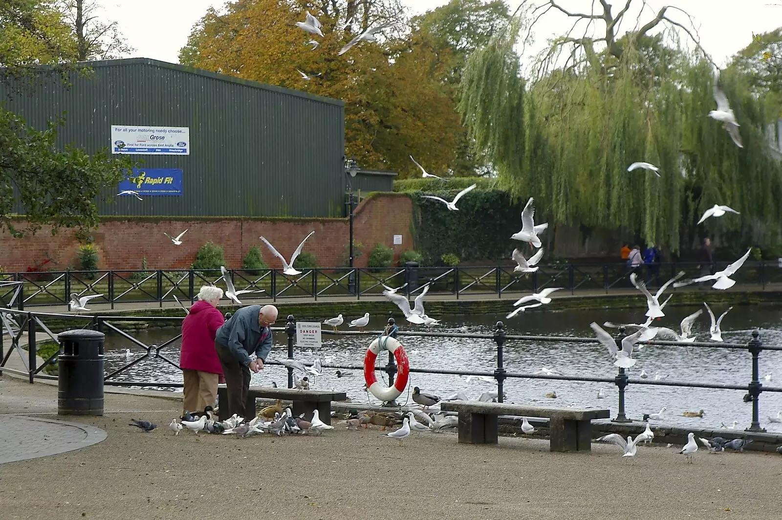 A couple are mobbed by a flock of seagulls, from Apples, Isobel's Birthday and  Remembrance Day, Cambridge and Diss, Norfolk - 11th November 2006