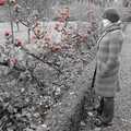 Isobel contemplates the apples in the walled garden, Evidence of Autumn: Thornham Walks, Suffolk - 18th November 2006