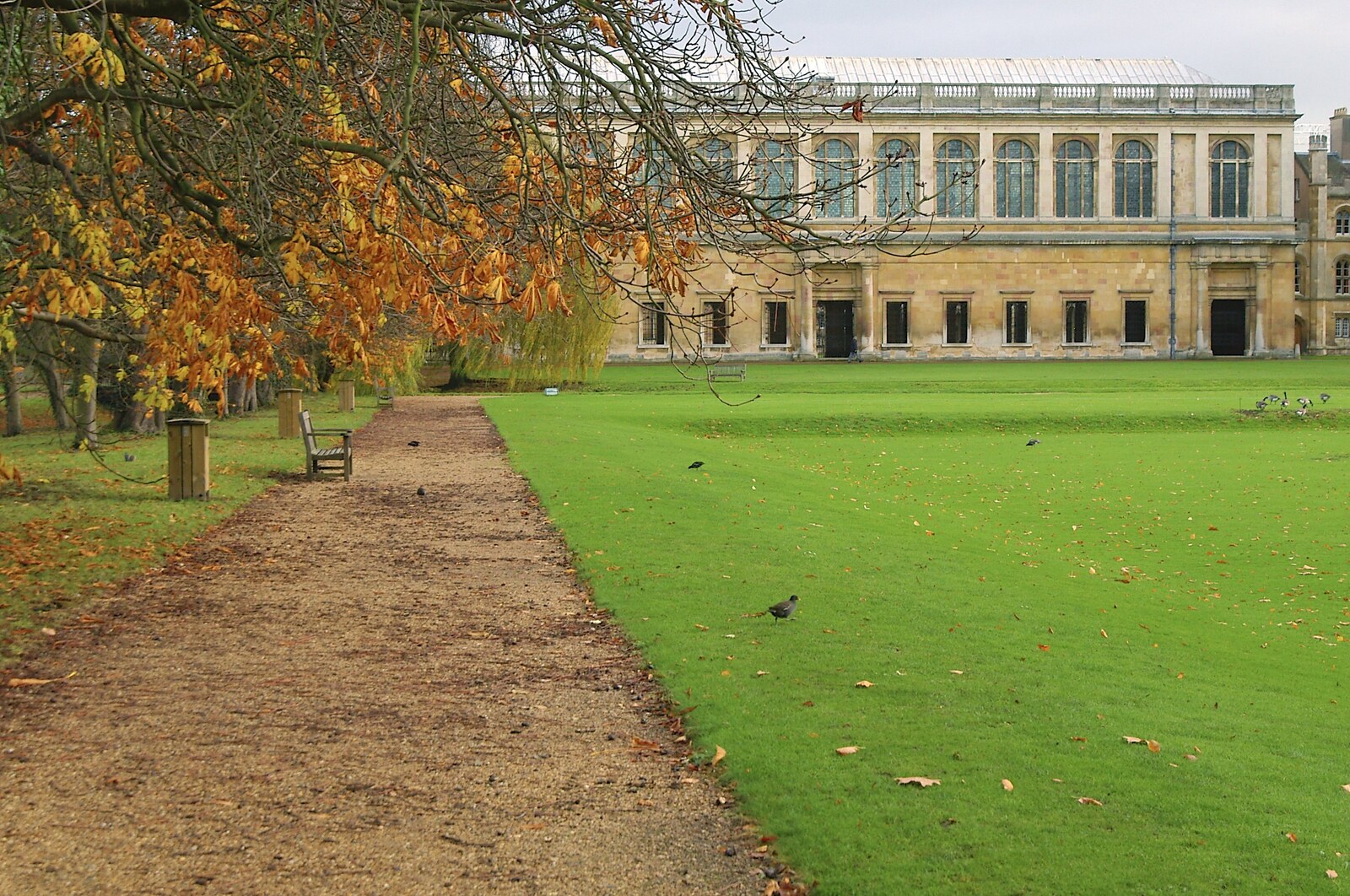 A gravel path at St. John's from Autumn Colleges: a Wander around The Backs, Cambridge - 26th November