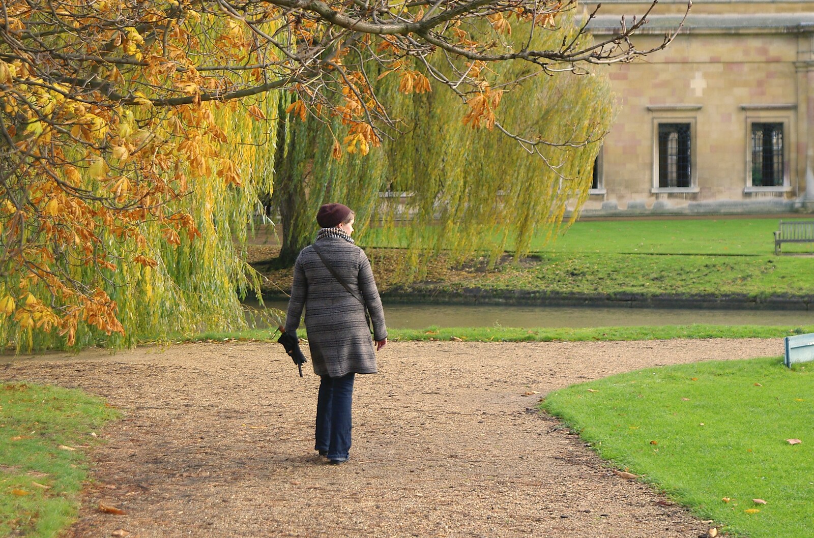 Isobel roams around from Autumn Colleges: a Wander around The Backs, Cambridge - 26th November