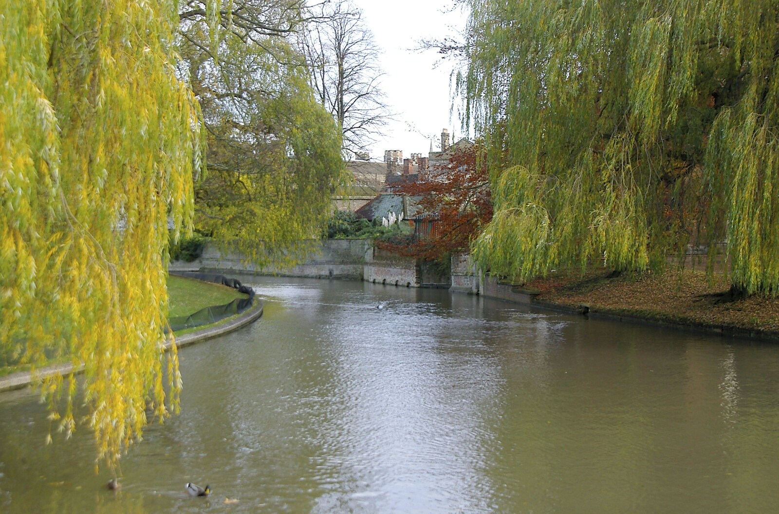 An empty River Cam from Autumn Colleges: a Wander around The Backs, Cambridge - 26th November