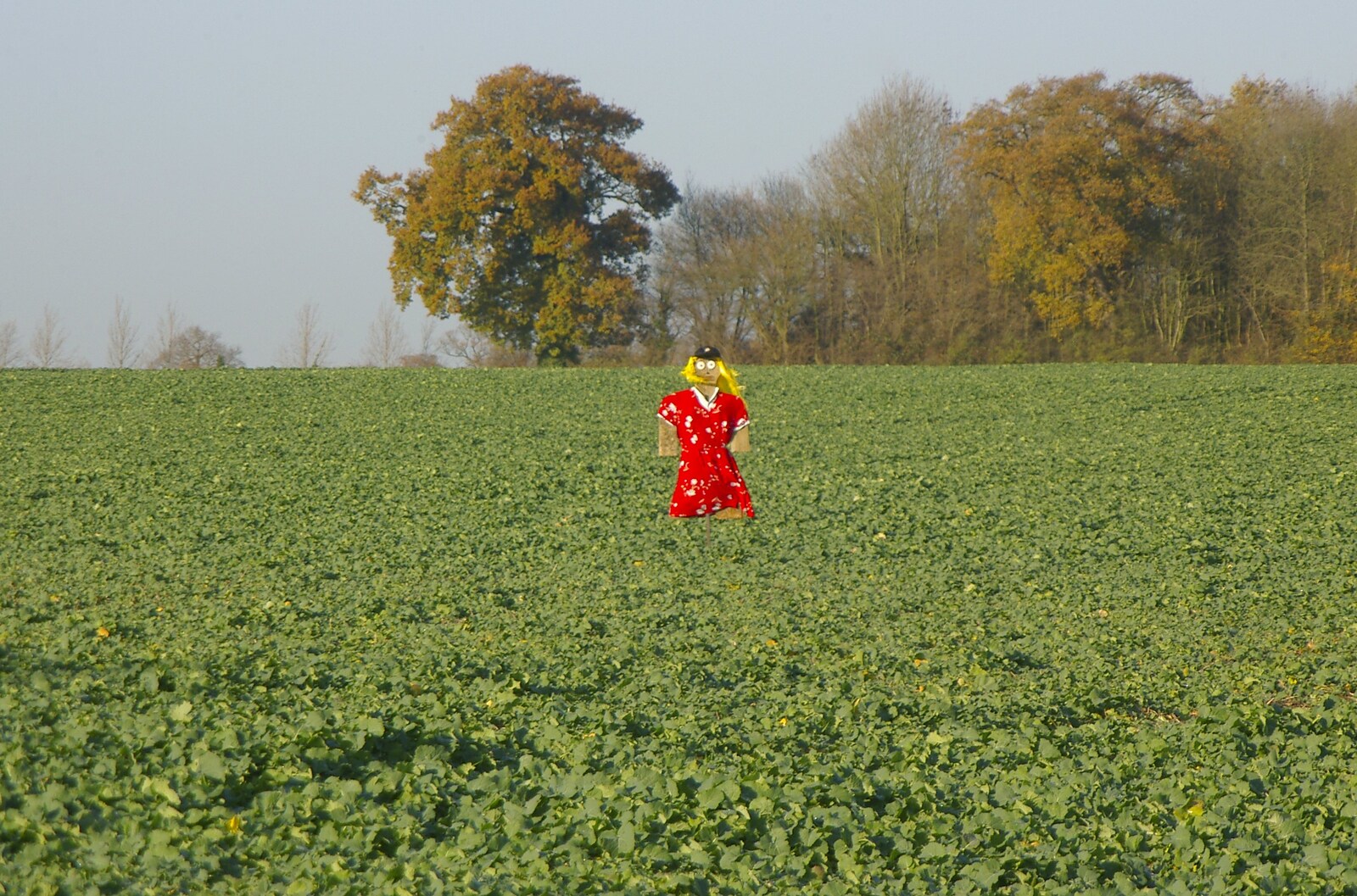 Scarecrow in a field from Qualcomm Christmas, The BBs and Isobel Moves Flats, Cambridge and Ascot, Berkshire - 2nd December 2006