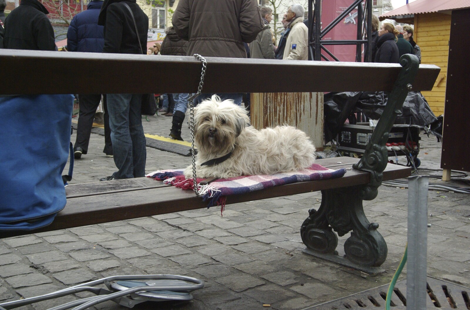 A dog on a bench from The Christmas Markets of Brussels, Belgium - 1st January 2007