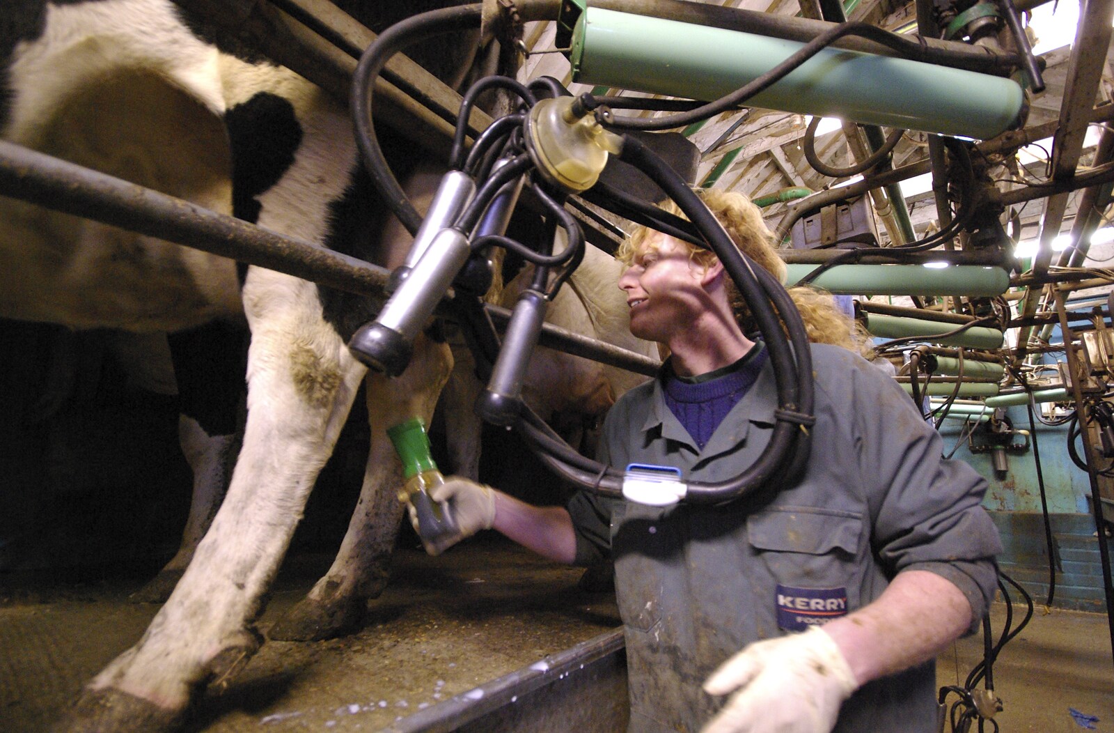Wavy applies antiseptic to the teats from The Last Milking at Dairy Farm, Thrandeston, Suffolk - 11th January 2007