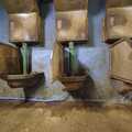 2007 Cattle feeding stalls, which look strangely like urinals