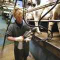 2007 Wavy cleans out milking suckers