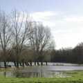 2007 Flooded trees