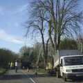 There's some tree surgery on the road to Finningham, A Swiss Fondue with Bus-Stop Rachel and Sam, Gwydir Street, Cambridge - 1st March 2007