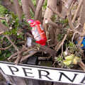 Rubbish in a hedge, Isobel's House Warming, a Gospel Hall, and Derelict Newsagents, Ward Road, Cambridge - 17th March 2007