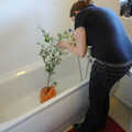 Isobel gives her chilli plant a shower, Isobel's House Warming, a Gospel Hall, and Derelict Newsagents, Ward Road, Cambridge - 17th March 2007