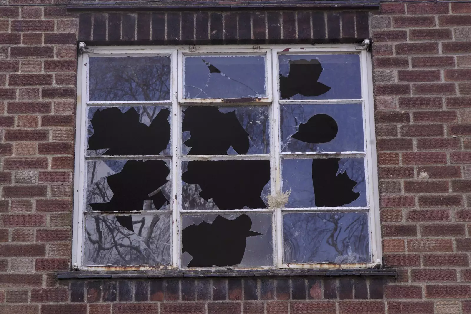 Smashed Crittal windows, from The Derelict Salam Newsagents, Perne Road, Cambridge - 18th March 2007