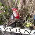 Rubbish in a hedge, The Derelict Salam Newsagents, Perne Road, Cambridge - 18th March 2007