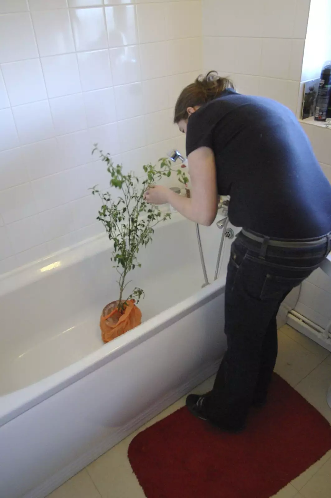 Isobel gives her chilli plant a shower, from The Derelict Salam Newsagents, Perne Road, Cambridge - 18th March 2007