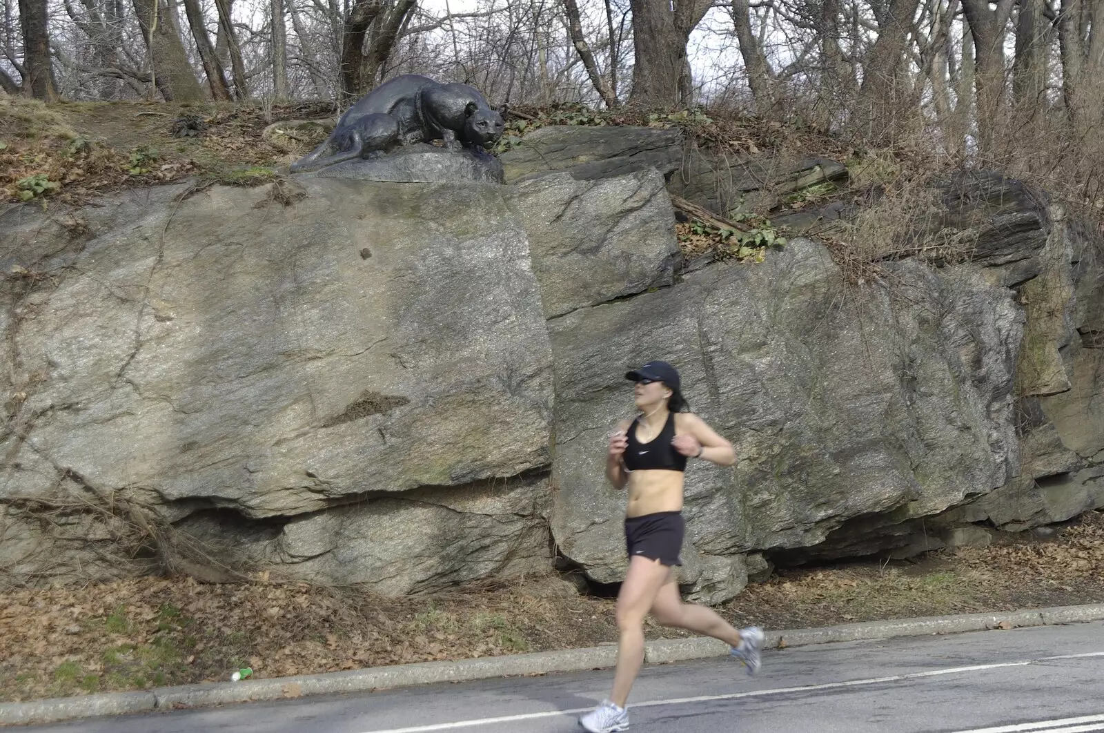 A mountain lion is poised to leap on a passing runner, from A Central Park Marathon, Les Paul at the Iridium Club and an Empire State Sunset, New York, US - 25th March 2007